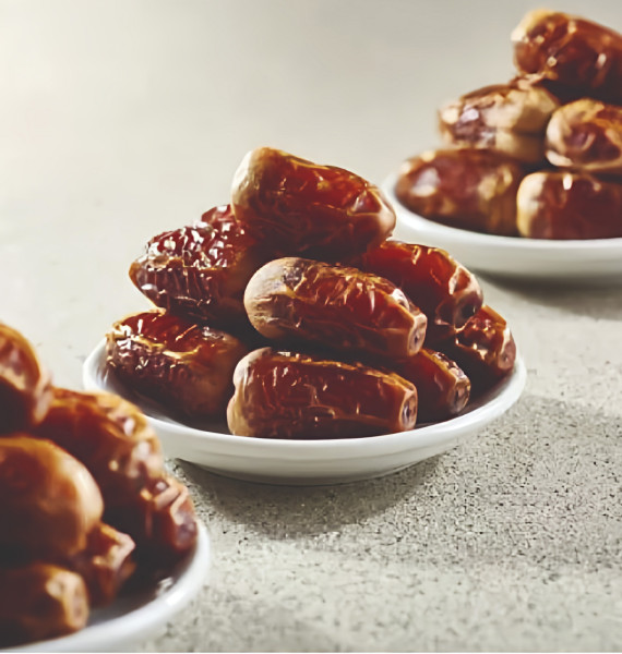 세가이 플레인 데이츠